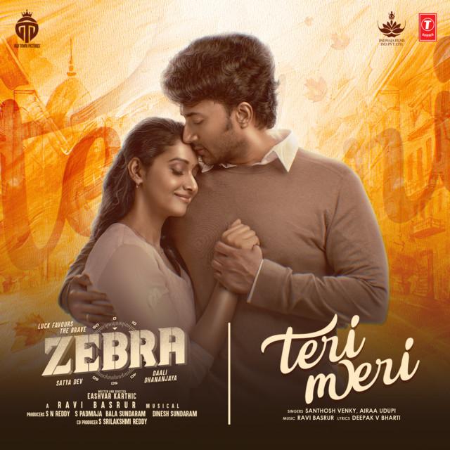 Teri Meri (Hindi)